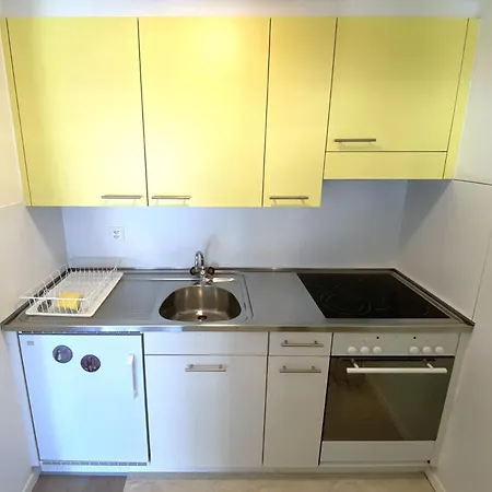 Adler 86 公寓 洛伊克巴德